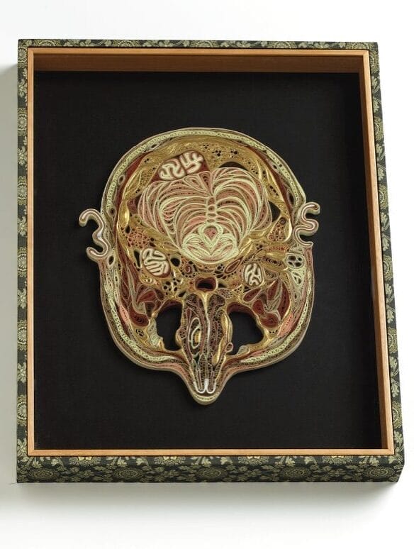 Das Schweigen brechen, die Masken fallen lassen STARWHEEL Das Schweigen brechen, die Masken fallen lassen STARWHEEL