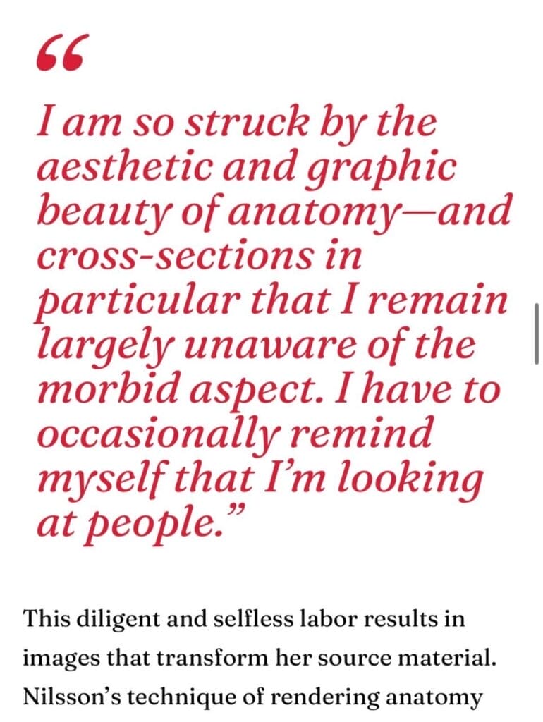 Das Schweigen brechen, die Masken fallen lassen STARWHEEL Das Schweigen brechen, die Masken fallen lassen STARWHEEL