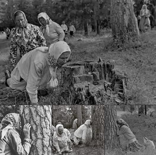 War is G⊙⊙d! STARWHEEL War is G⊙⊙d! STARWHEEL