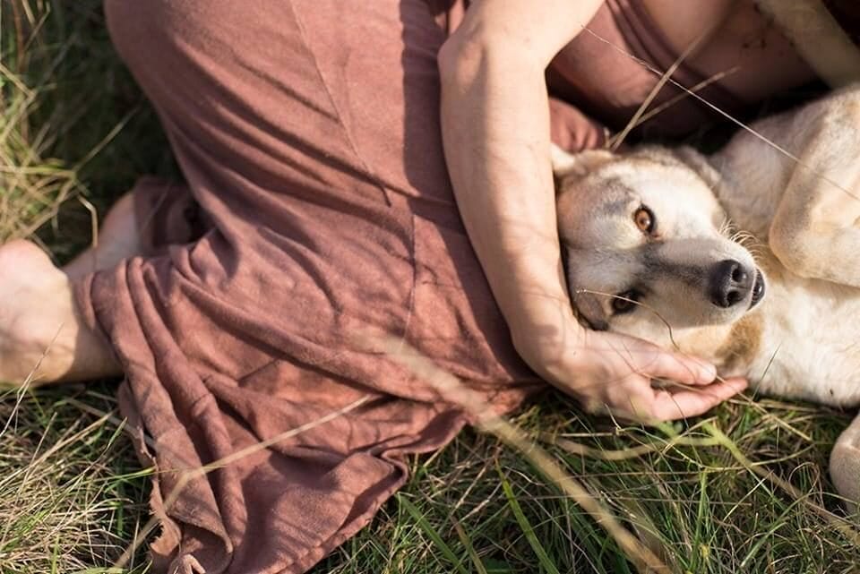 May it storm as the world has never seen STARWHEEL May it storm as the world has never seen STARWHEEL