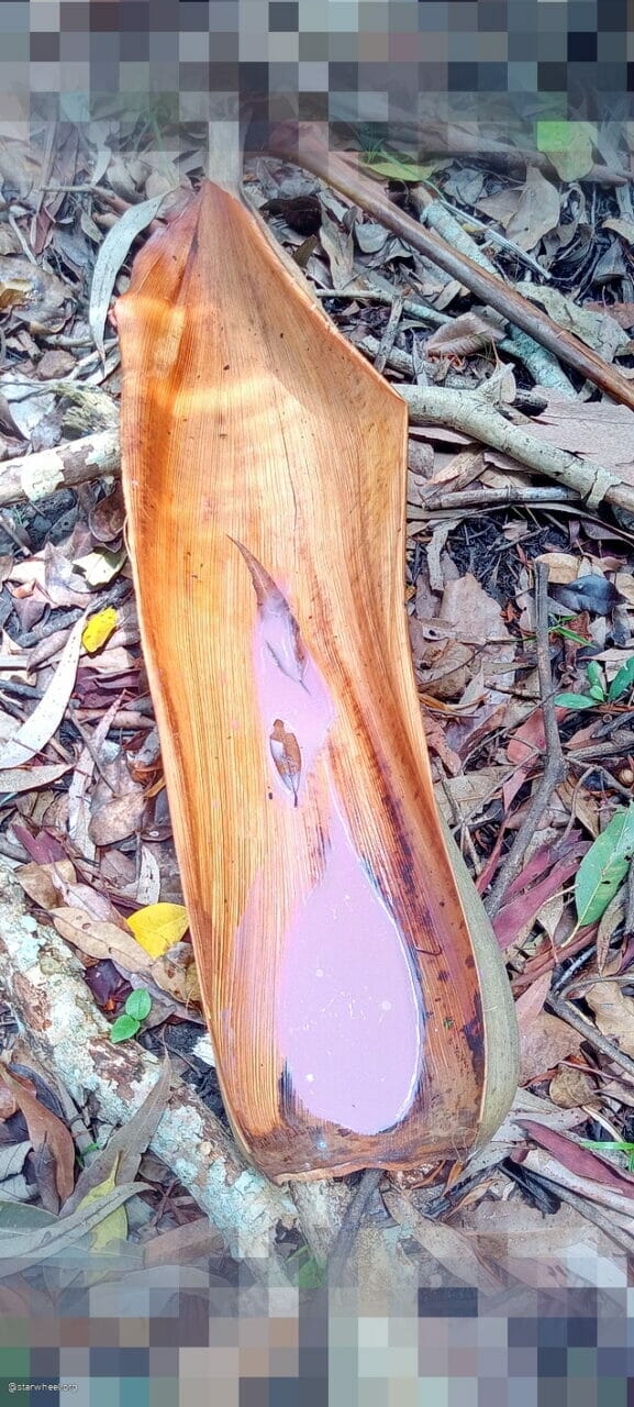 Into the Forest Art Thou 