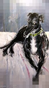 GOD.IS STARWHEEL GOD.IS STARWHEEL