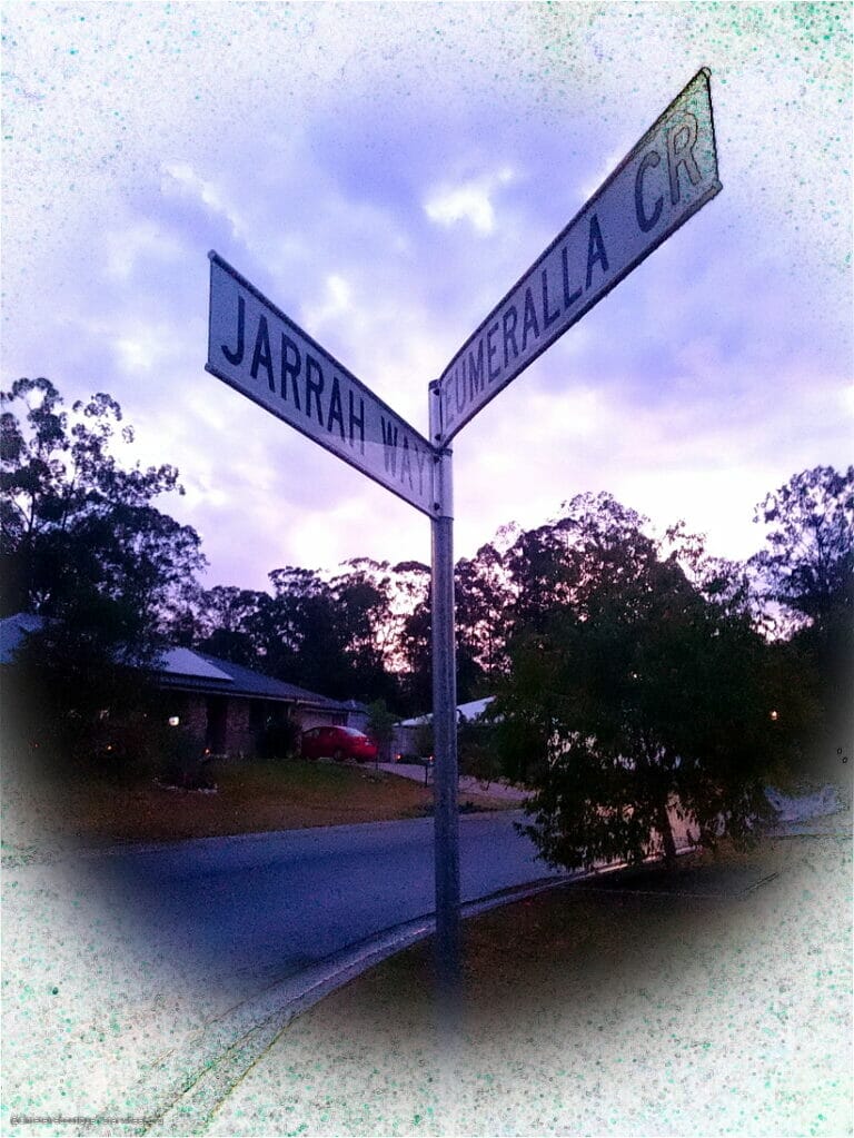 Once Your Are, Eleven 