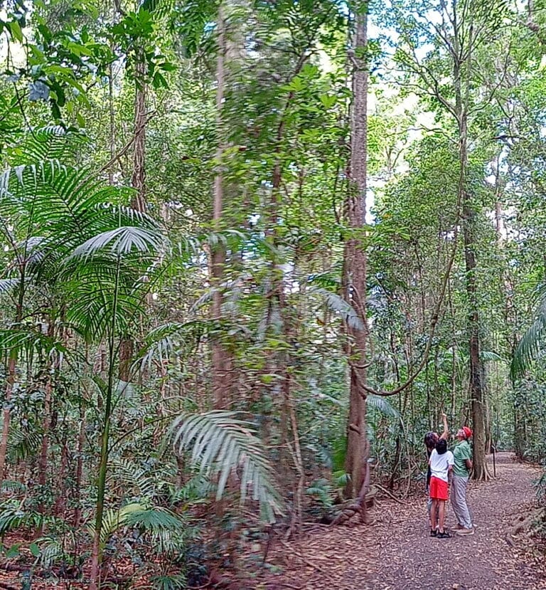 Wenn Wir zu Schule Gehen, Dann 