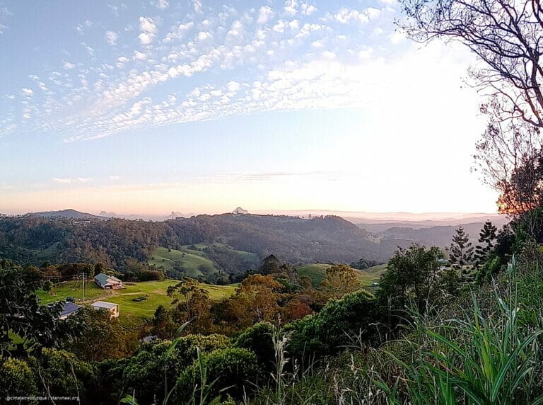 Wenn Wir zu Schule Gehen, Dann 