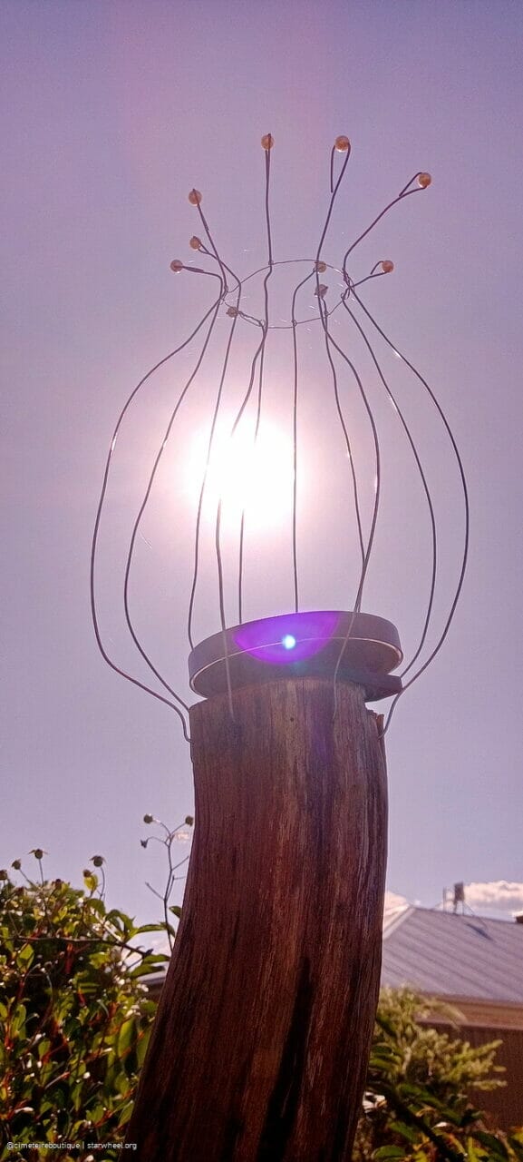 Wenn Wir zu Schule Gehen, Dann 