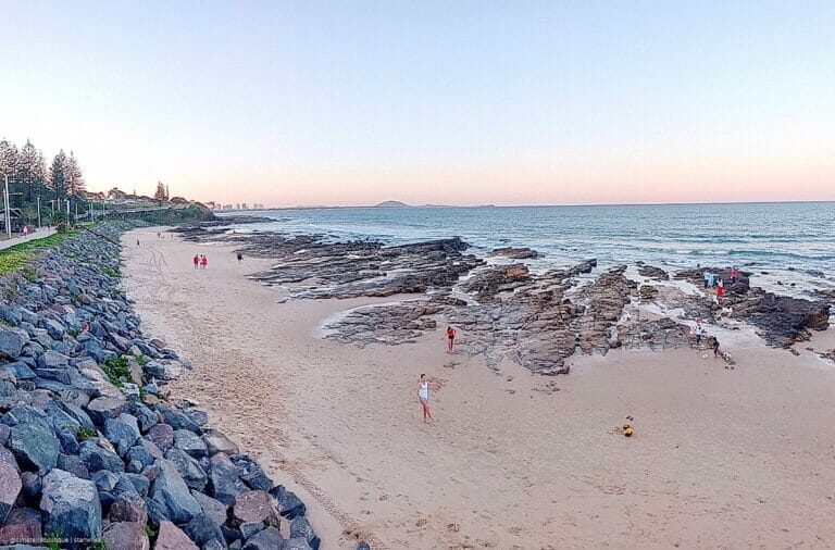 Wenn Wir zu Schule Gehen, Dann 