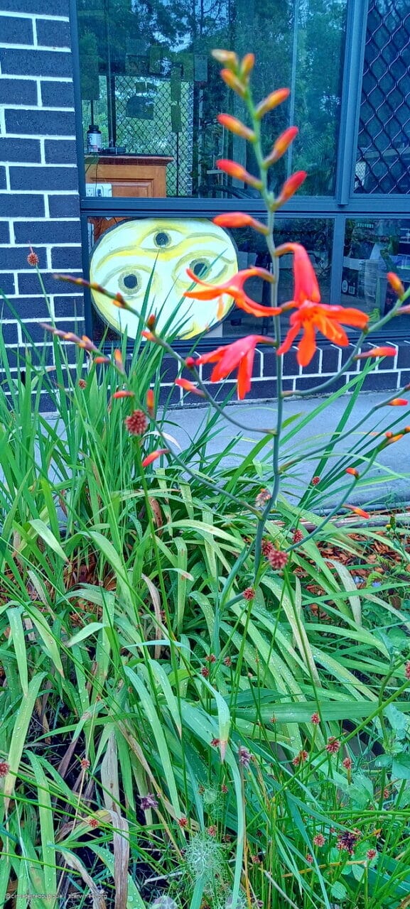 Wenn Wir zu Schule Gehen, Dann 