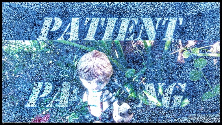 Patient Parking 