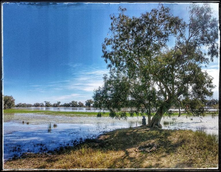 Punthamara, Quilpie QLD 
