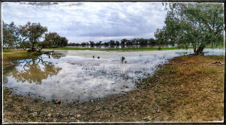 Punthamara, Quilpie QLD 