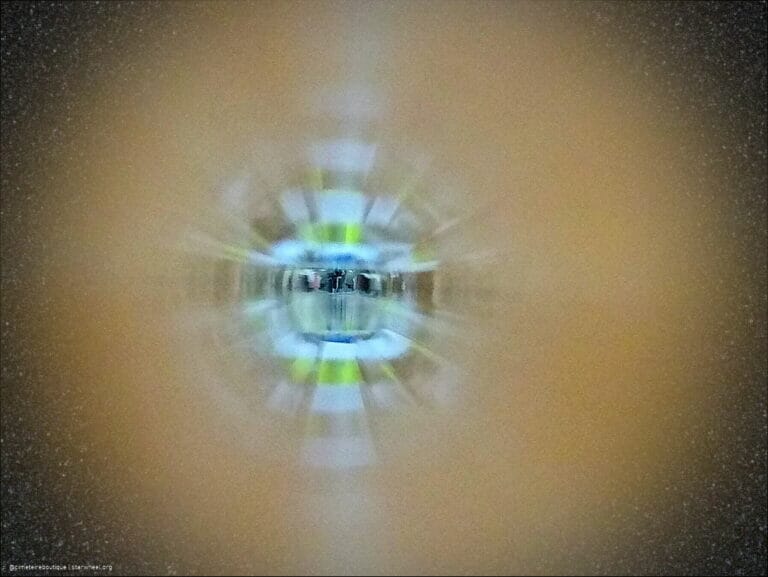 Reverse Garbage Trip 