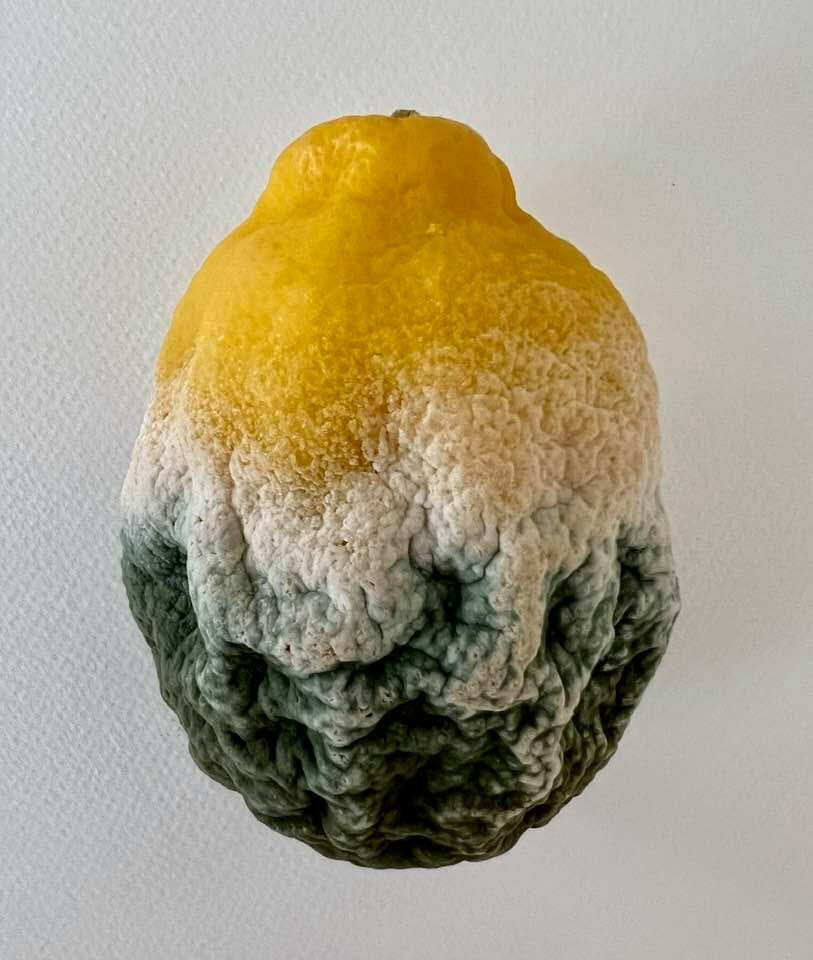 Adafit by Kiss, Kiss, Kiss STARWHEEL Adafit by Kiss, Kiss, Kiss STARWHEEL