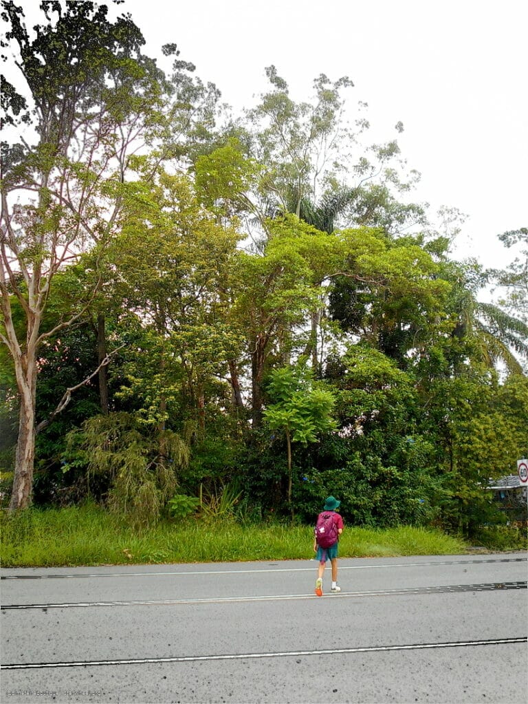 Hosanna, Osanna, ܐܘܿܫܲܥܢܵܐ! 