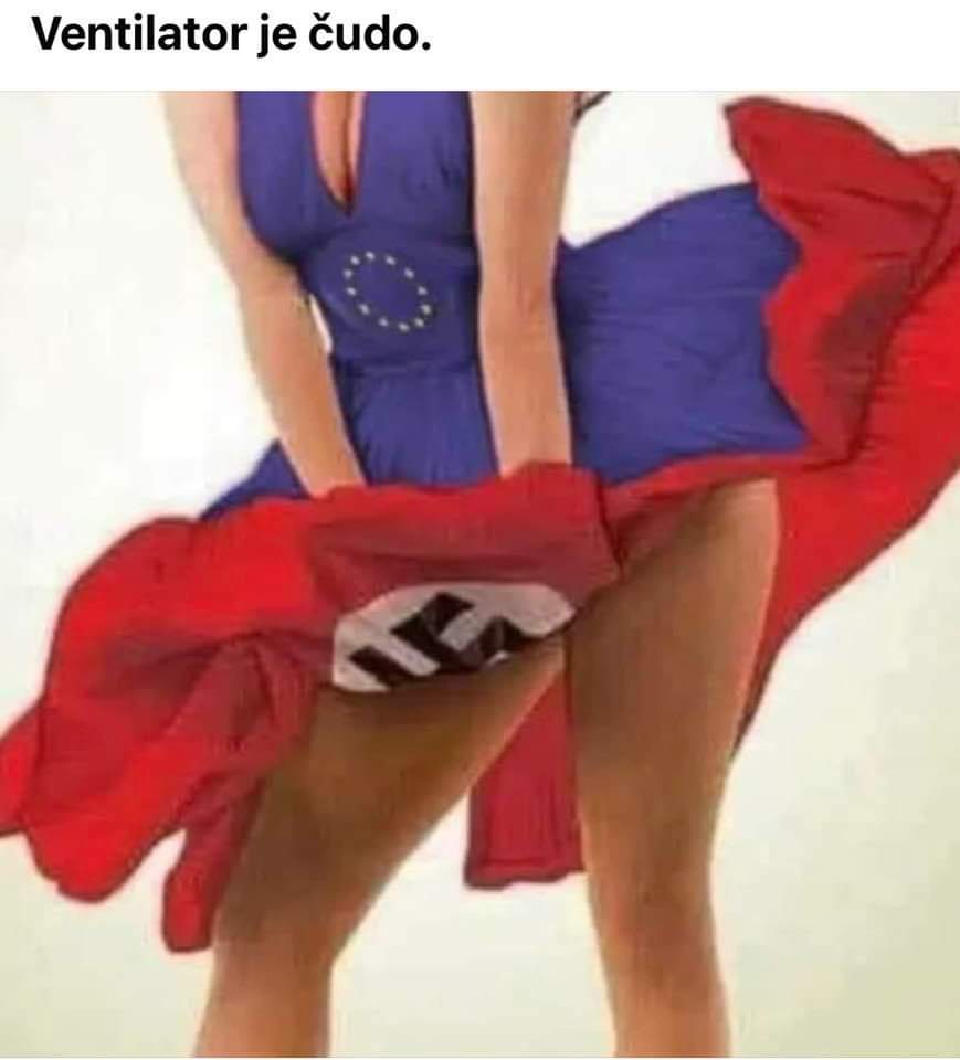 EDELWEIß THIß; iß N0T A FL0WER STARWHEEL