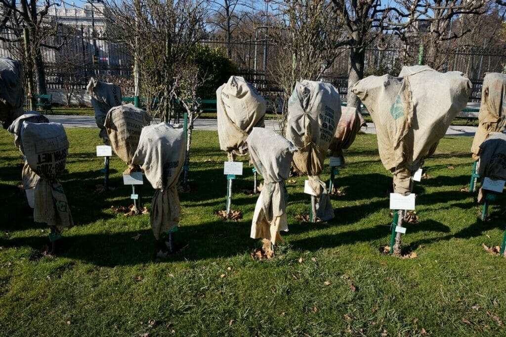 Nag Hammadi Massacre STARWHEEL Nag Hammadi Massacre STARWHEEL