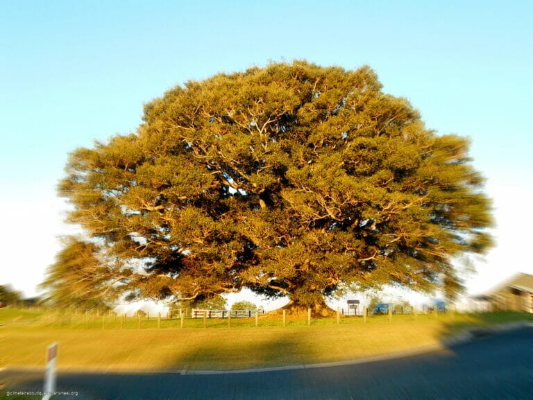 WWIII, the Magnificient 