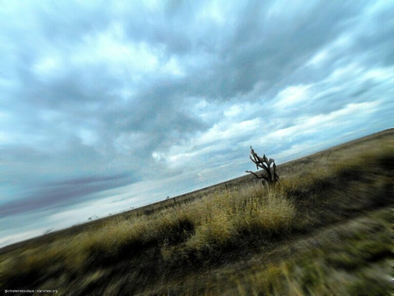 WWIII, the Magnificient 