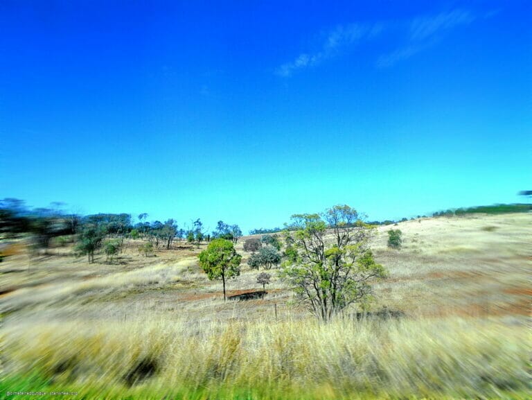 WWIII, the Magnificient 