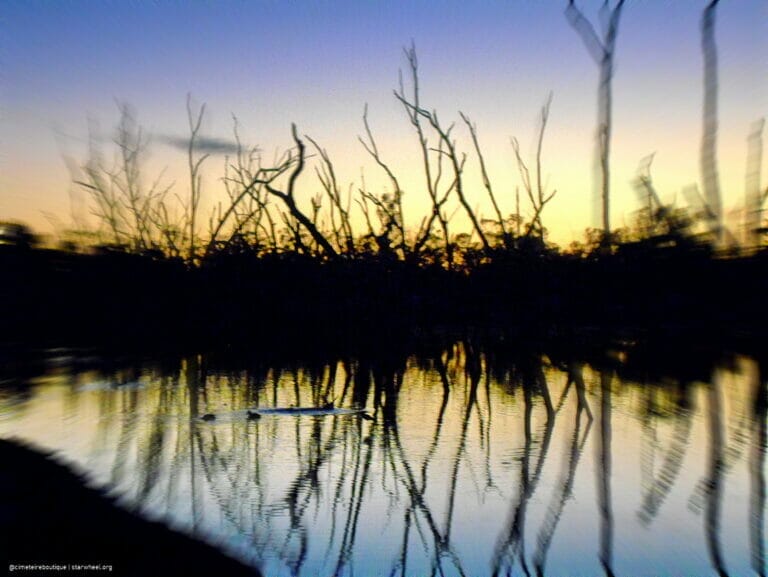 WWIII, the Magnificient 