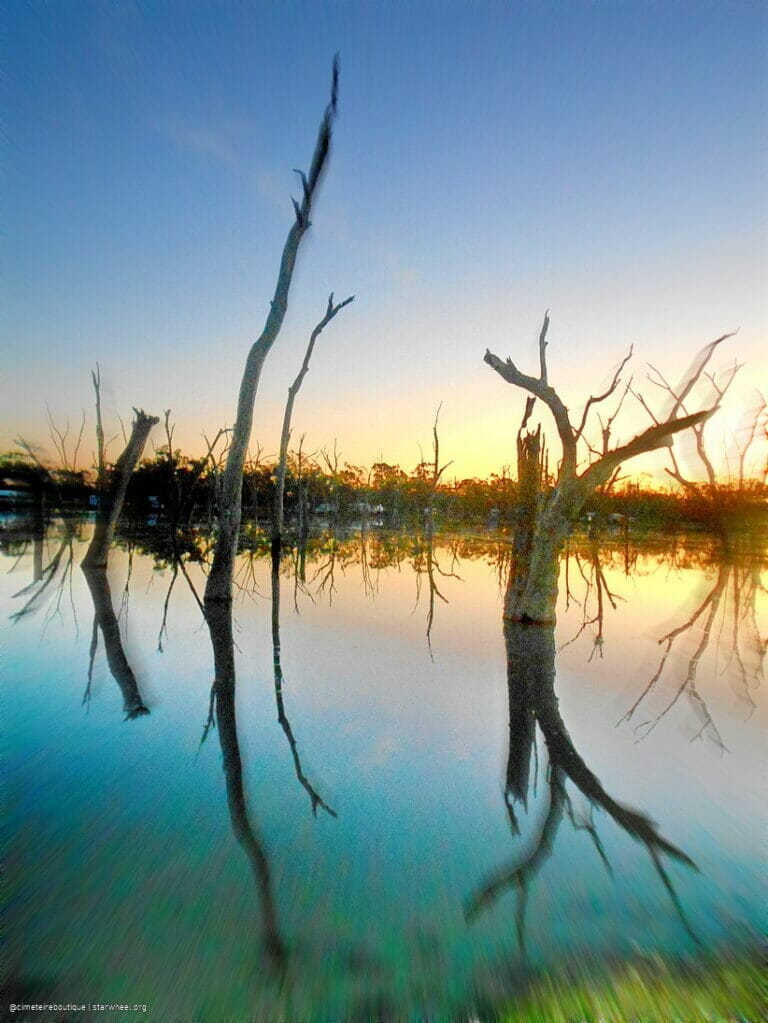 WWIII, the Magnificient 