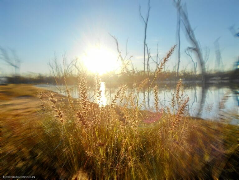 WWIII, the Magnificient 