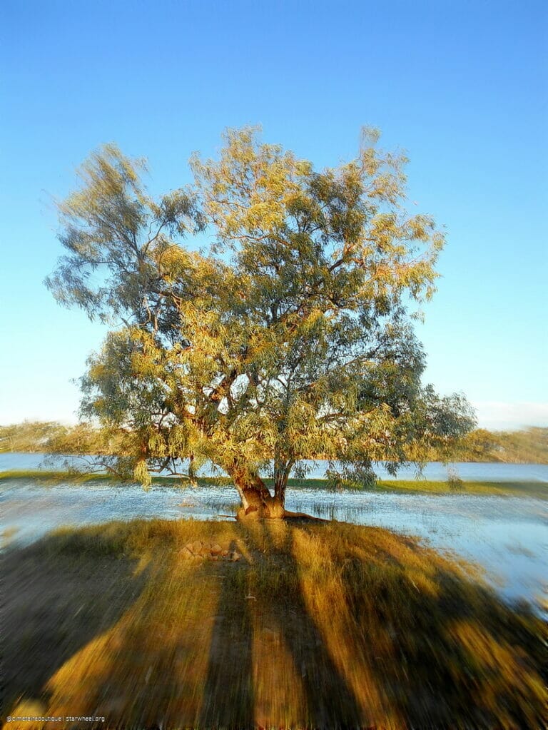 WWIII, the Magnificient 