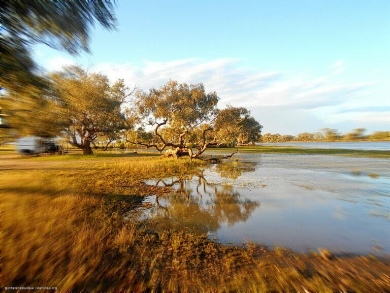 WWIII, the Magnificient 