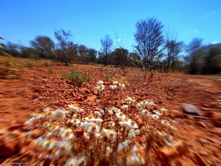 WWIII, the Magnificient 