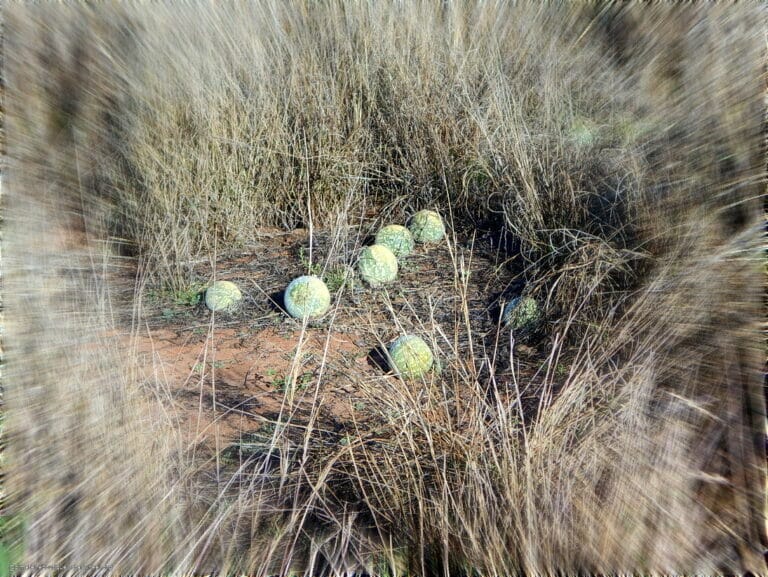 WWIII, the Magnificient 