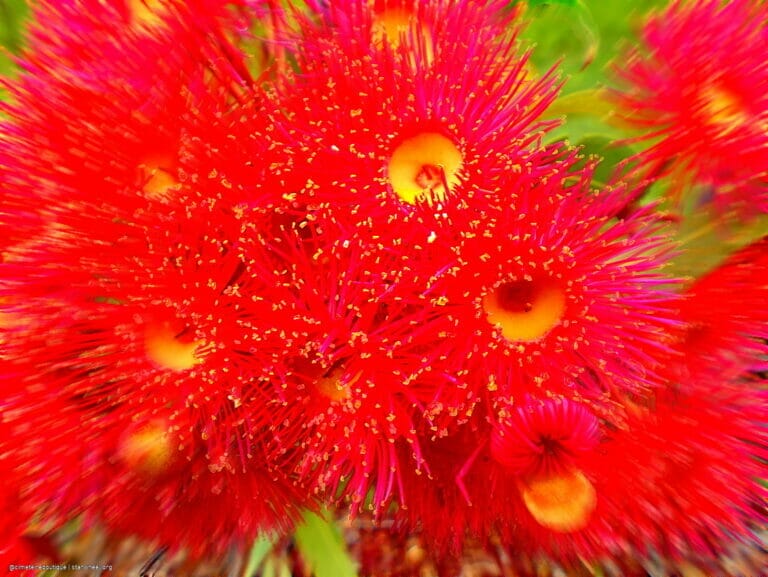 WWIII, the Magnificient 