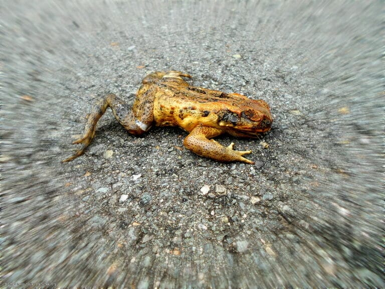 WWIII, the Magnificient 